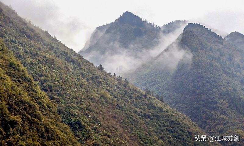 乌江画廊之旅,走进乌江百里画廊