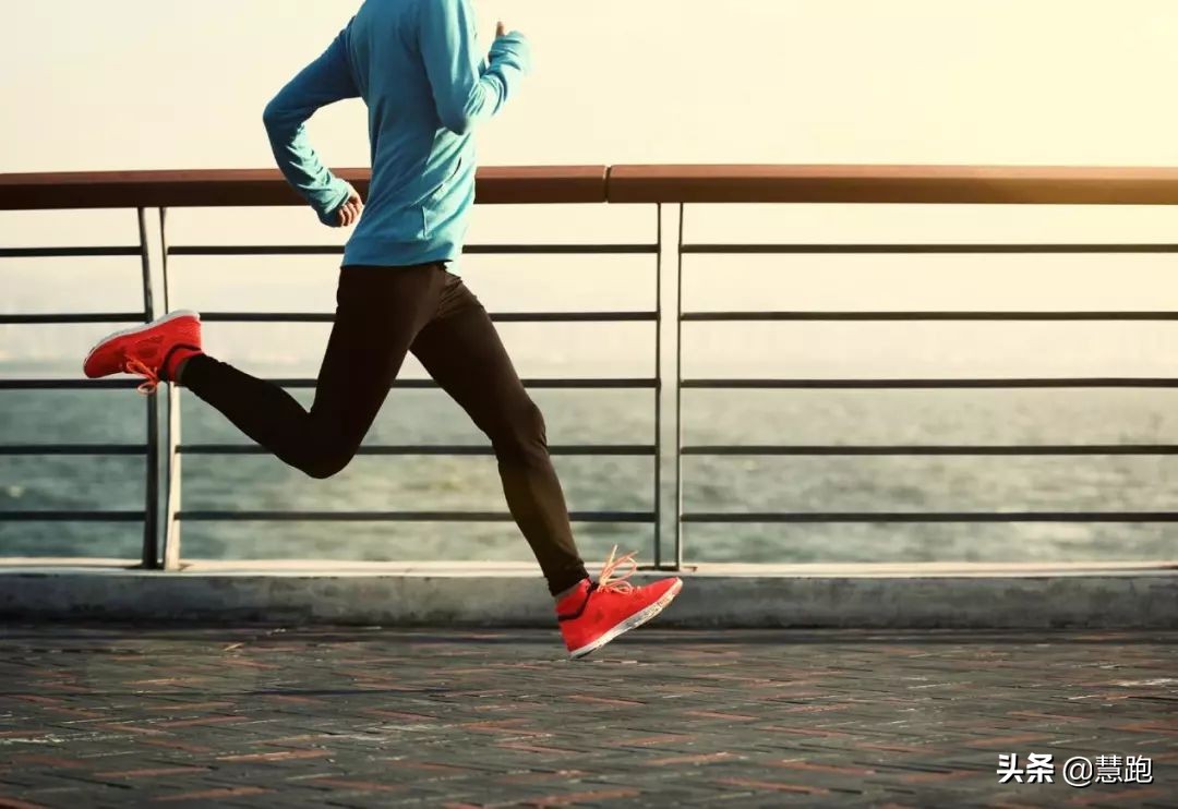 新手跑马每日训练,跑马夏季怎么训练