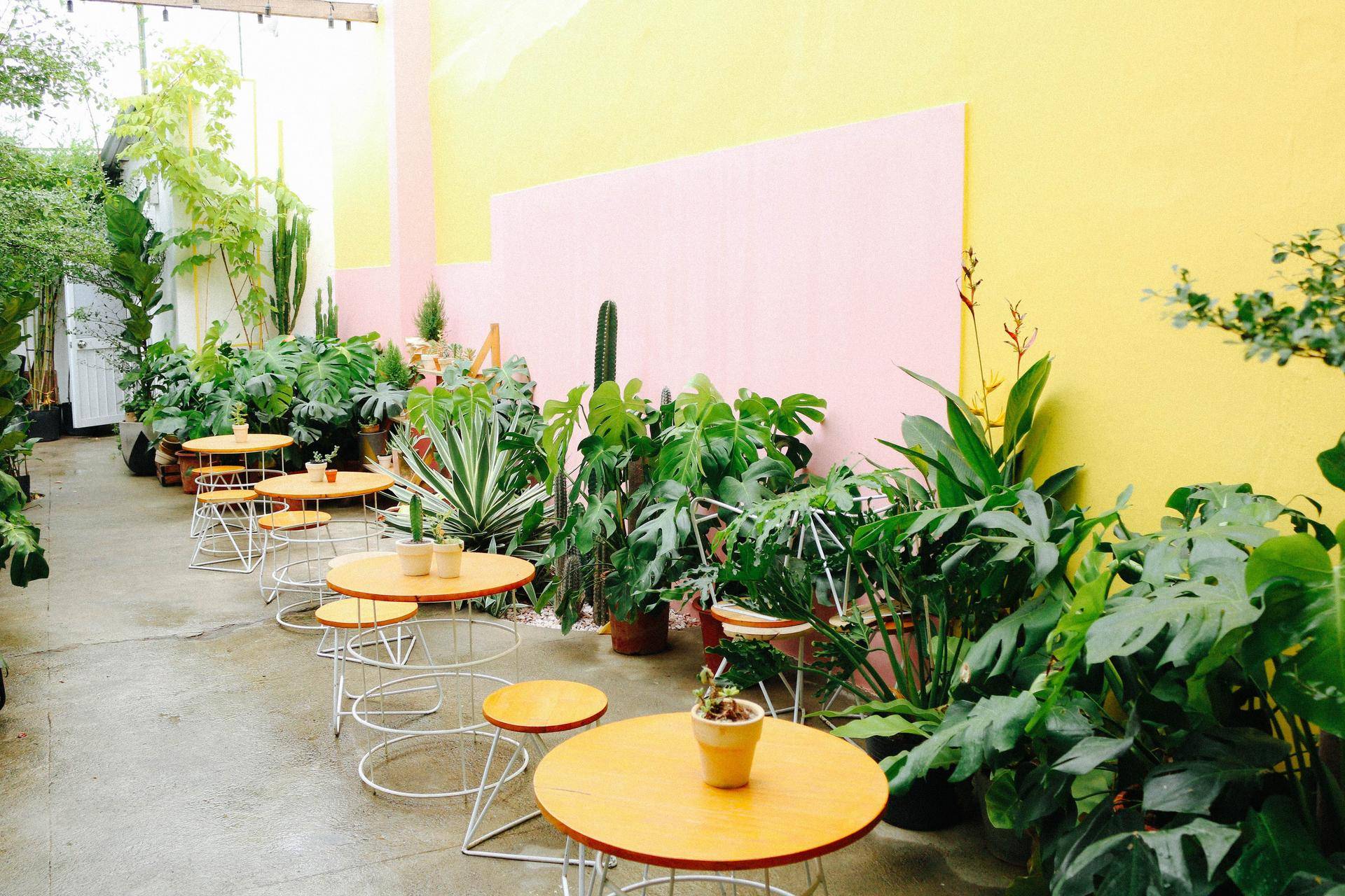 推荐五个国内此生必去绝美海岛,国内可以直飞的免签海岛