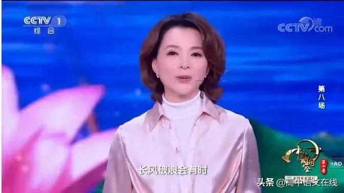 董卿诗词大会开场白集锦视频全集,董卿在中国诗词大会第四季开场白