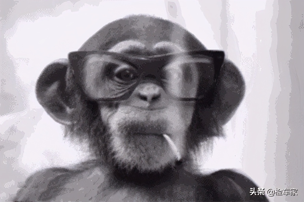 全进口迈腾四驱 (最新款迈腾四驱)