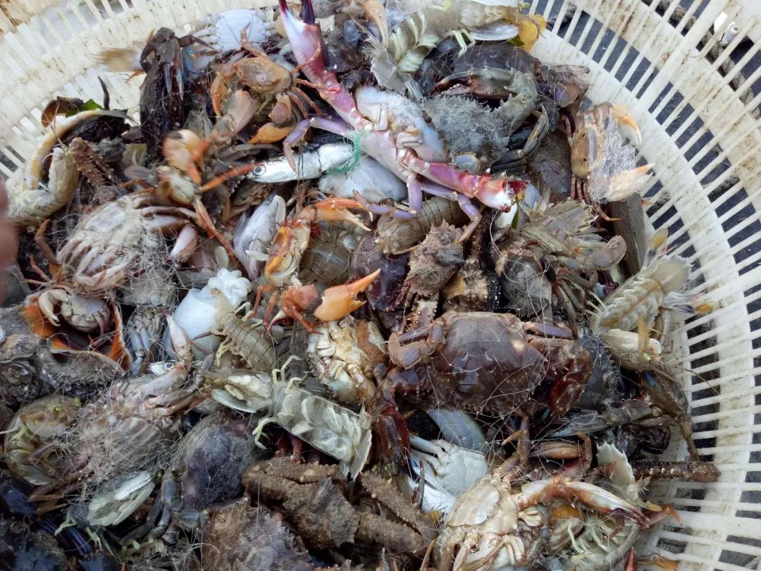 浣犲涔呮病鍘绘捣杈瑰害鍋囦簡,浣犲涔呮病鏈夊嚭闂ㄦ梾娓镐簡