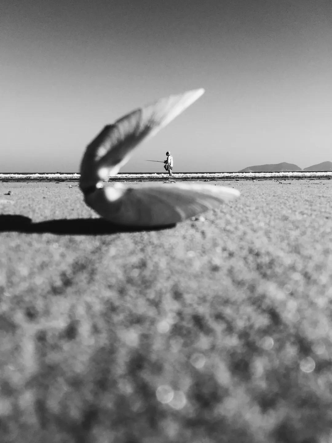 iphone相机操作指南广角镜头篇,iphone相机操作指南3.0