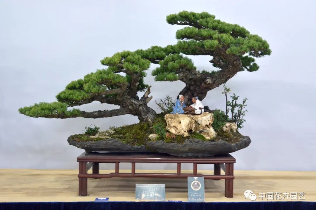 2021第三届中国盆景展,盆景展览会精品展