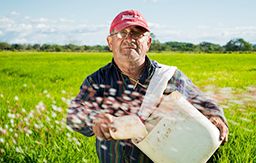 眼睛长出翅膀,眼睛长翅膀