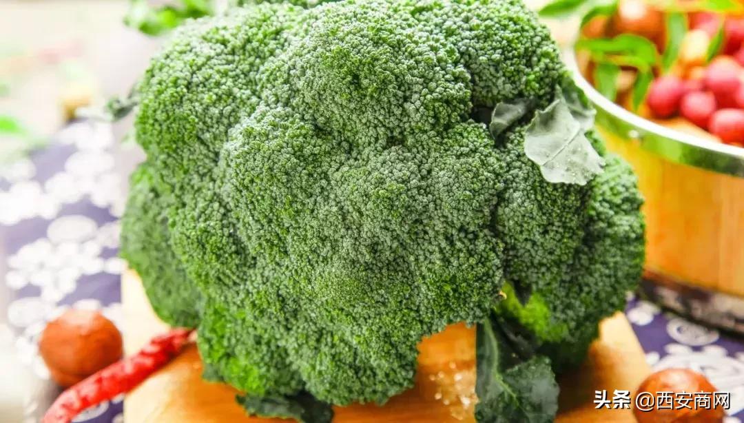 新品类健康力作：SFN西兰花植物饮料