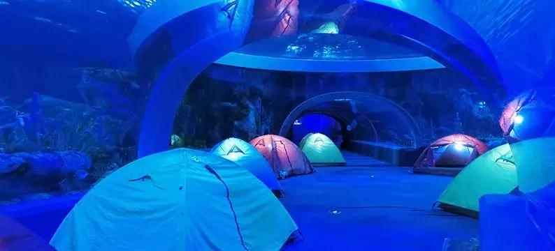 珠海长隆亲子游攻略三天两夜,珠海长隆亲子游最佳攻略