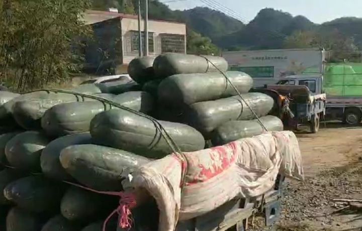 只要机器热起来，就有希望！