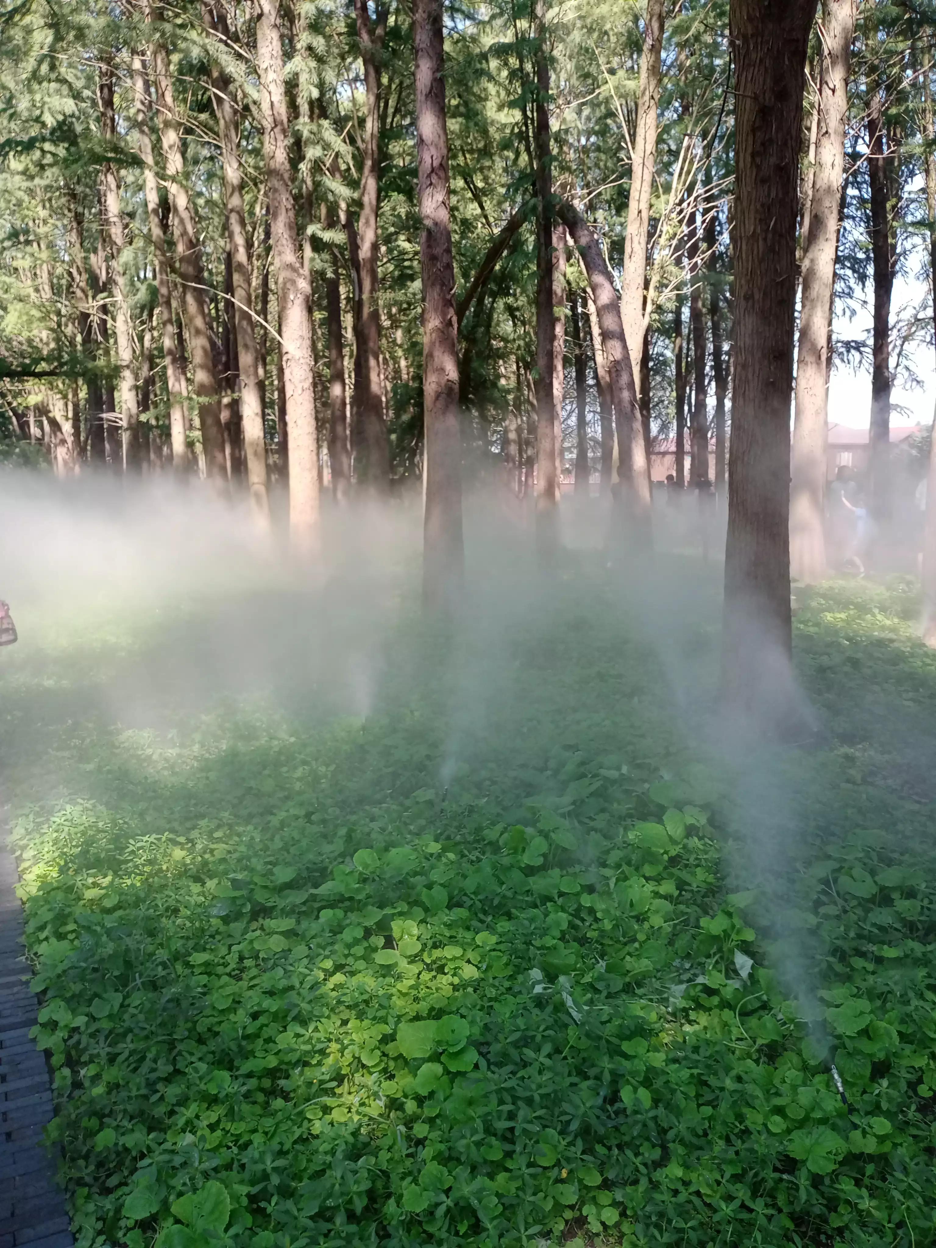 购物团合法吗,购物团不消费会怎么样