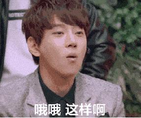 狗狗的便便是红色的还很硬,狗狗的便便怎么能看出来有虫