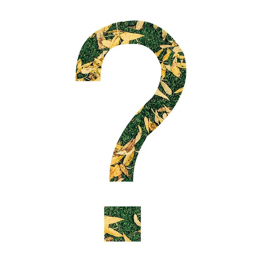 恐龙玩具有什么特点,为何孩子们那么喜欢恐龙玩具