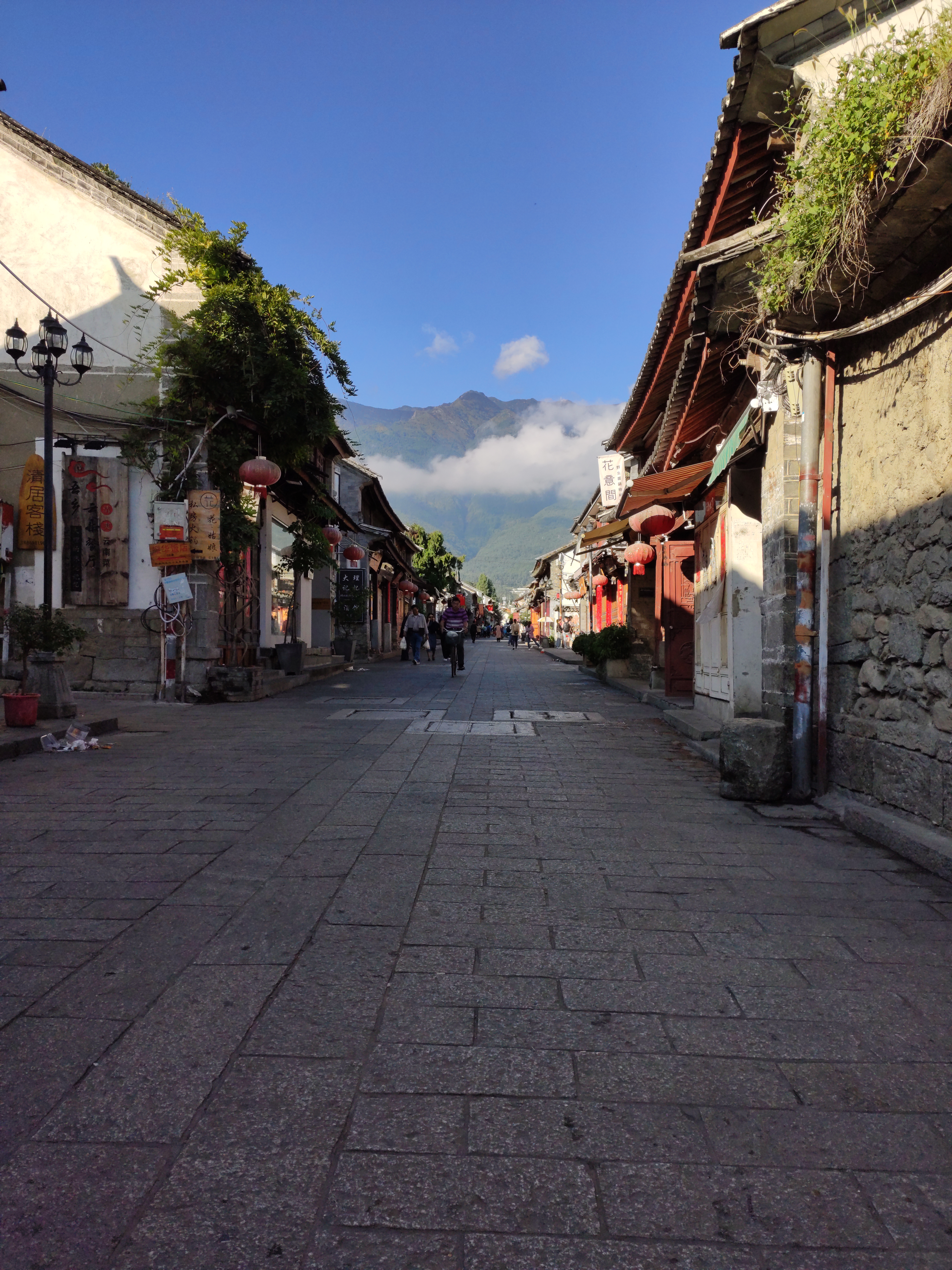 以自然之名怎么样,以自然之名是什么意思