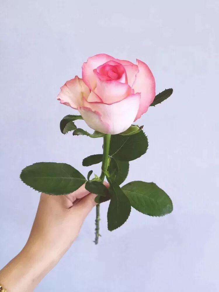 今夕有你丨99元双人票限时抢！免费写真、缘分墙、潮人趴…七夕来狂欢水世界占领你的主场