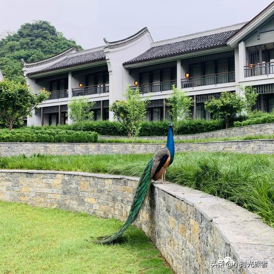 阳朔酒店风景好的推荐,桂林阳朔山水画酒店