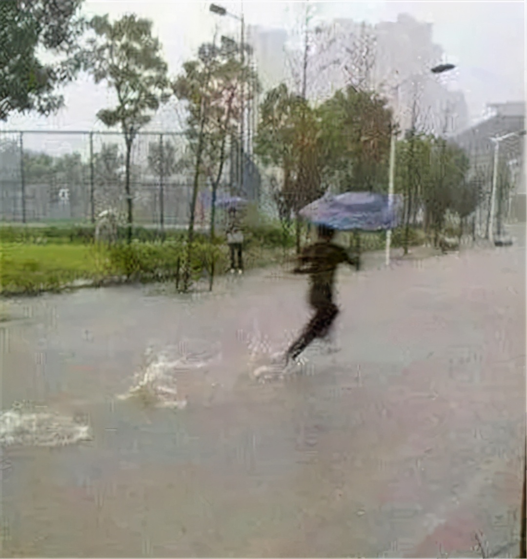 每日一笑可爱猫咪,每日一笑青春期的猫不好惹