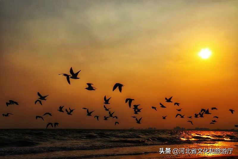 留在秦皇岛,秦皇岛为什么那么多人