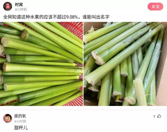 脚臭出汗挂什么科,脚臭怎么幽默回复