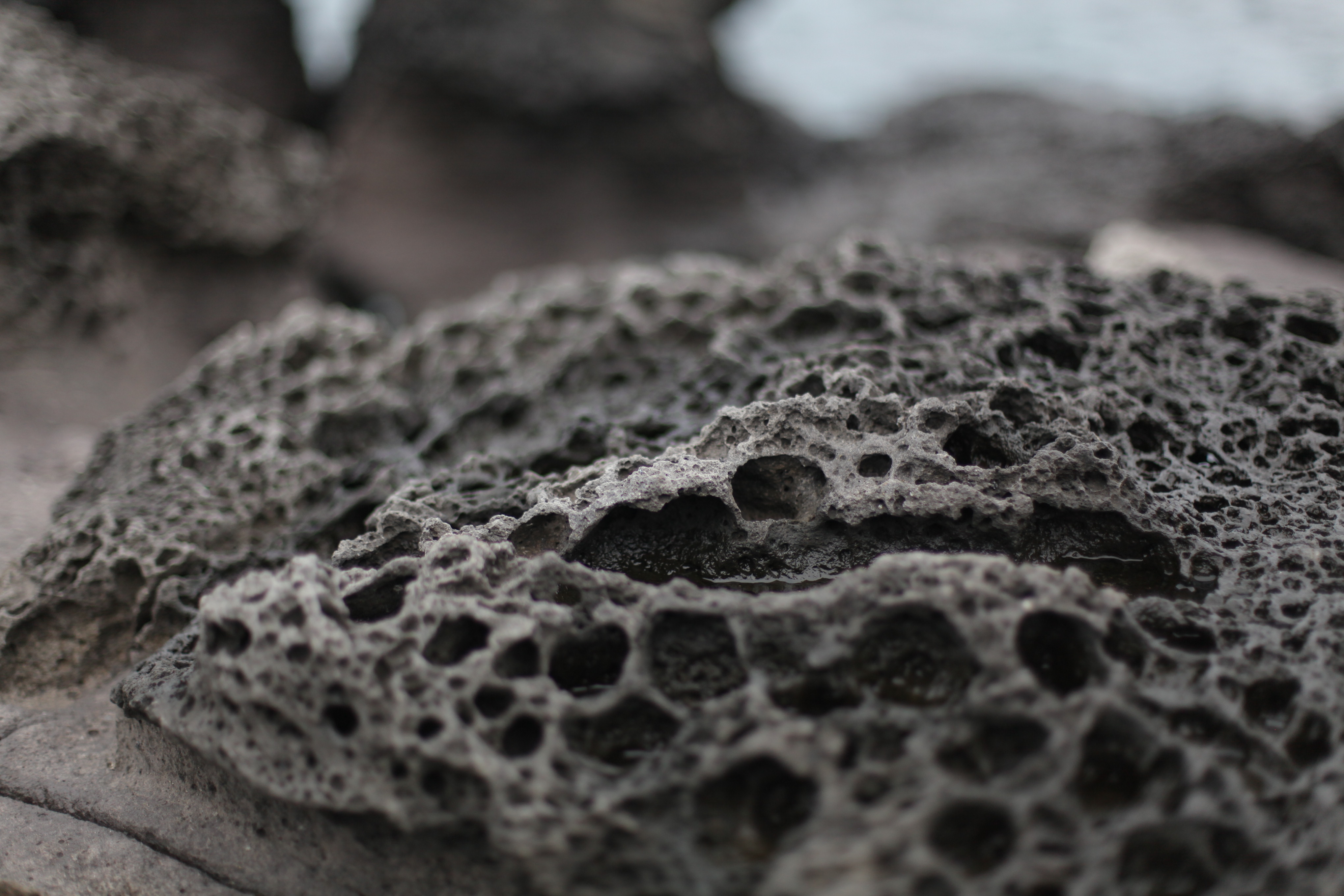 济州岛泰迪熊主题乐园和博物馆,韩国泰迪熊旅游