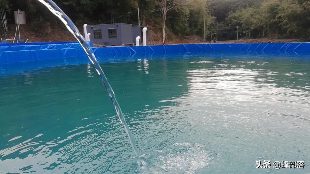 什么新兴行业养殖最赚钱,当今什么小本投资养殖业最赚钱