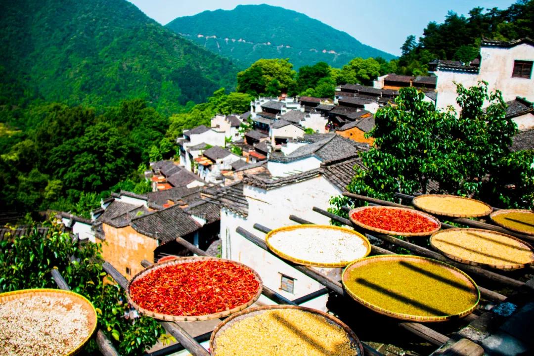 这才是中国最美的乡村,最值得去的鲜花小镇