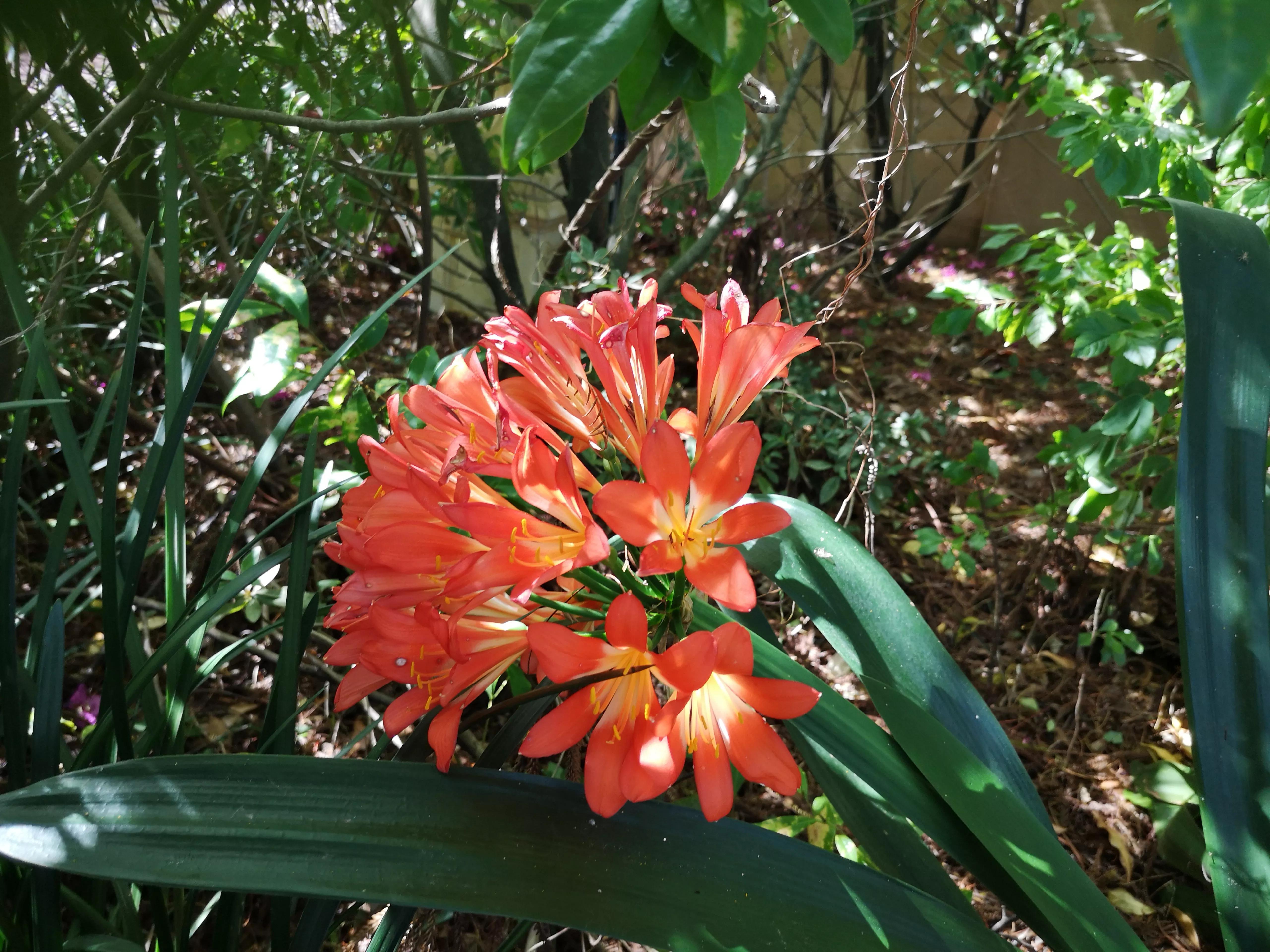小孩牙疼有牙洞吃东西就疼,孩子牙疼但是牙齿都是好的