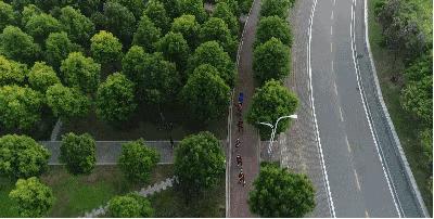 武汉江滩特大桥,武汉新建江滩