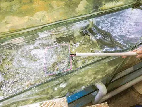 汕尾吃海鲜的正确方式,汕尾人吃海鲜