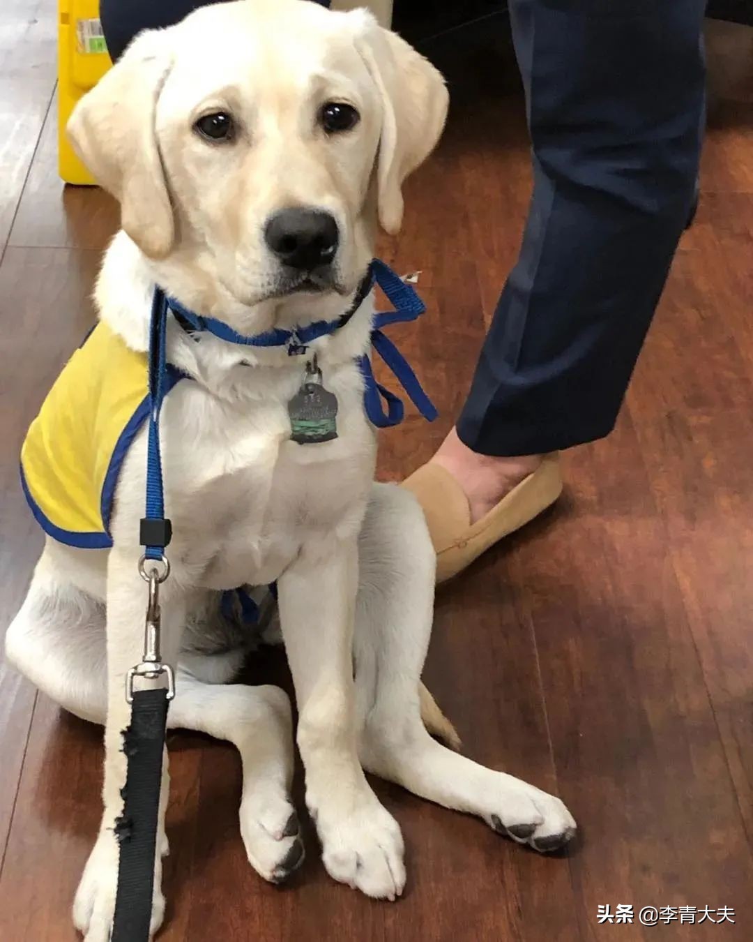 麦扣的家庭,麦扣的质感好物