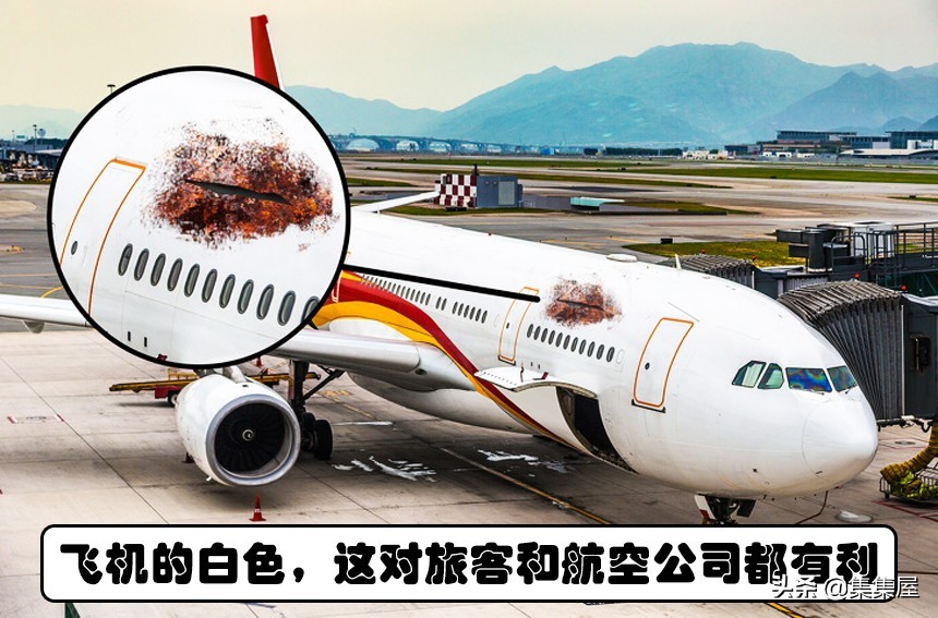 有趣的颜色冷知识,颜色冷知识100条