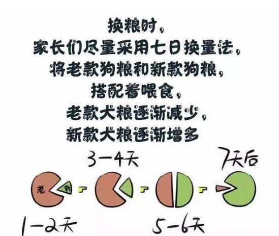 巴哥犬不爱吃饭怎么回事,巴哥挑食怎么办