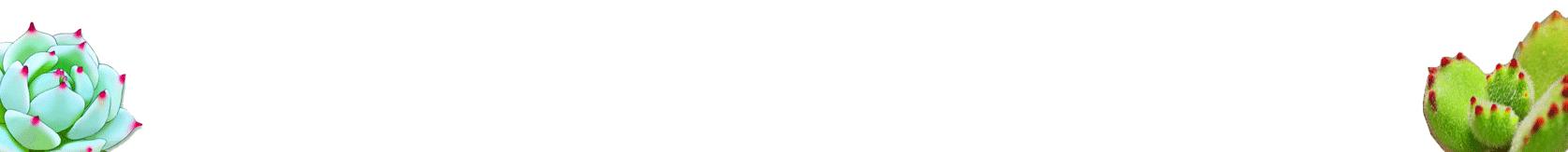 多肉植物中海豹水泡品种繁多,多肉植物水养教程