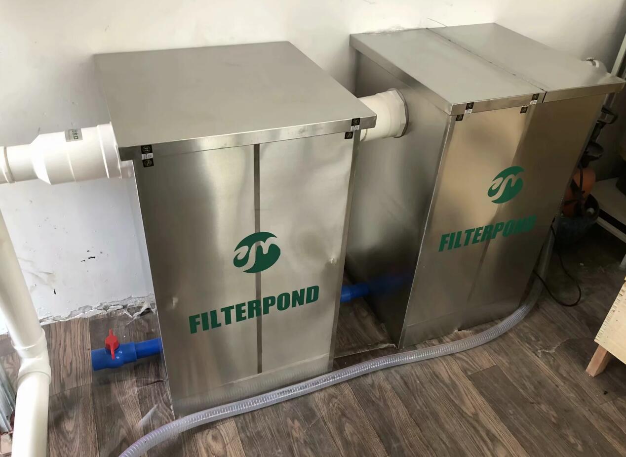 锦鲤鱼池过滤系统五大常用方式,锦鲤鱼池过滤火山石多大的合适