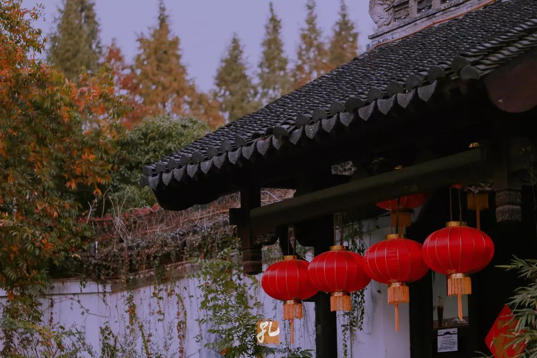 衢州为啥没有衢州鸭头,衢州鸭头不一样