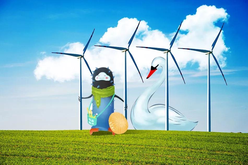 威海海钓攻略位置,威海有哪些海钓鱼种