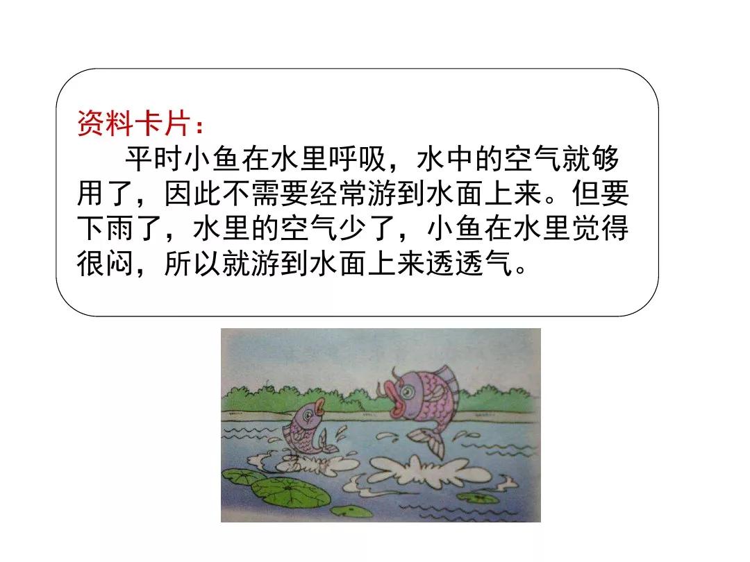 一年级下册14课要下雨了教材分析,部编版一年级下册14要下雨了教案