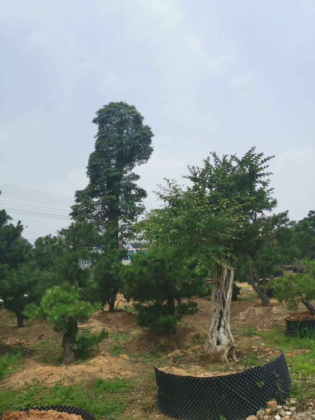 叹为观止自然风景,叹为观止高清图