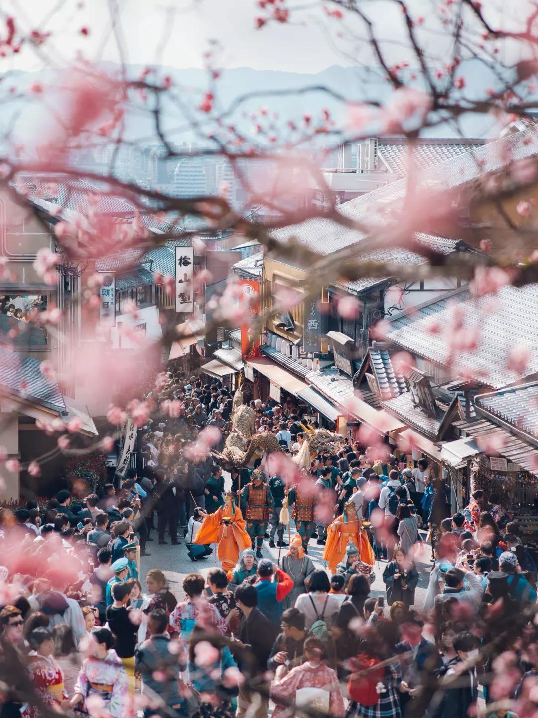 日本樱花现在还在开吗,日本樱花快要开放了吗