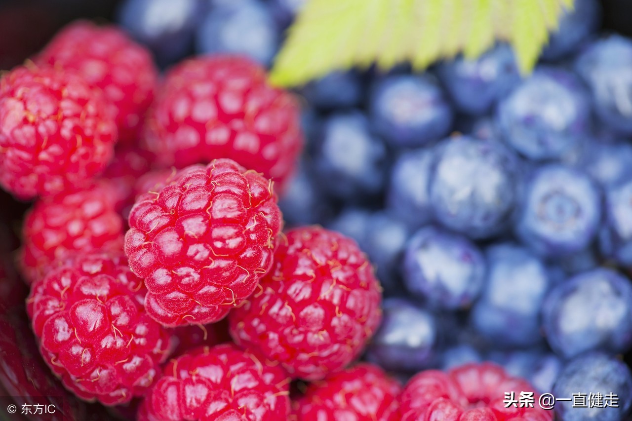 一目了然——《诗经》（256——265）