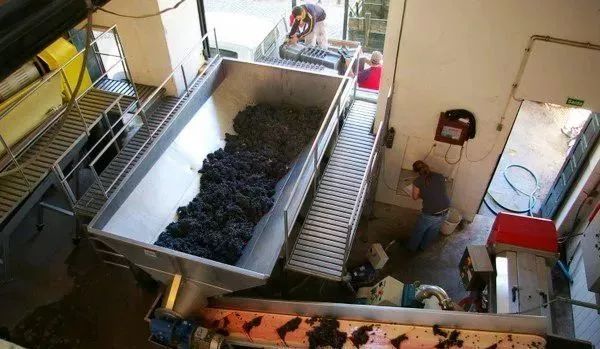 红葡萄酒是怎么发酵的,红葡萄酒的酿造过程