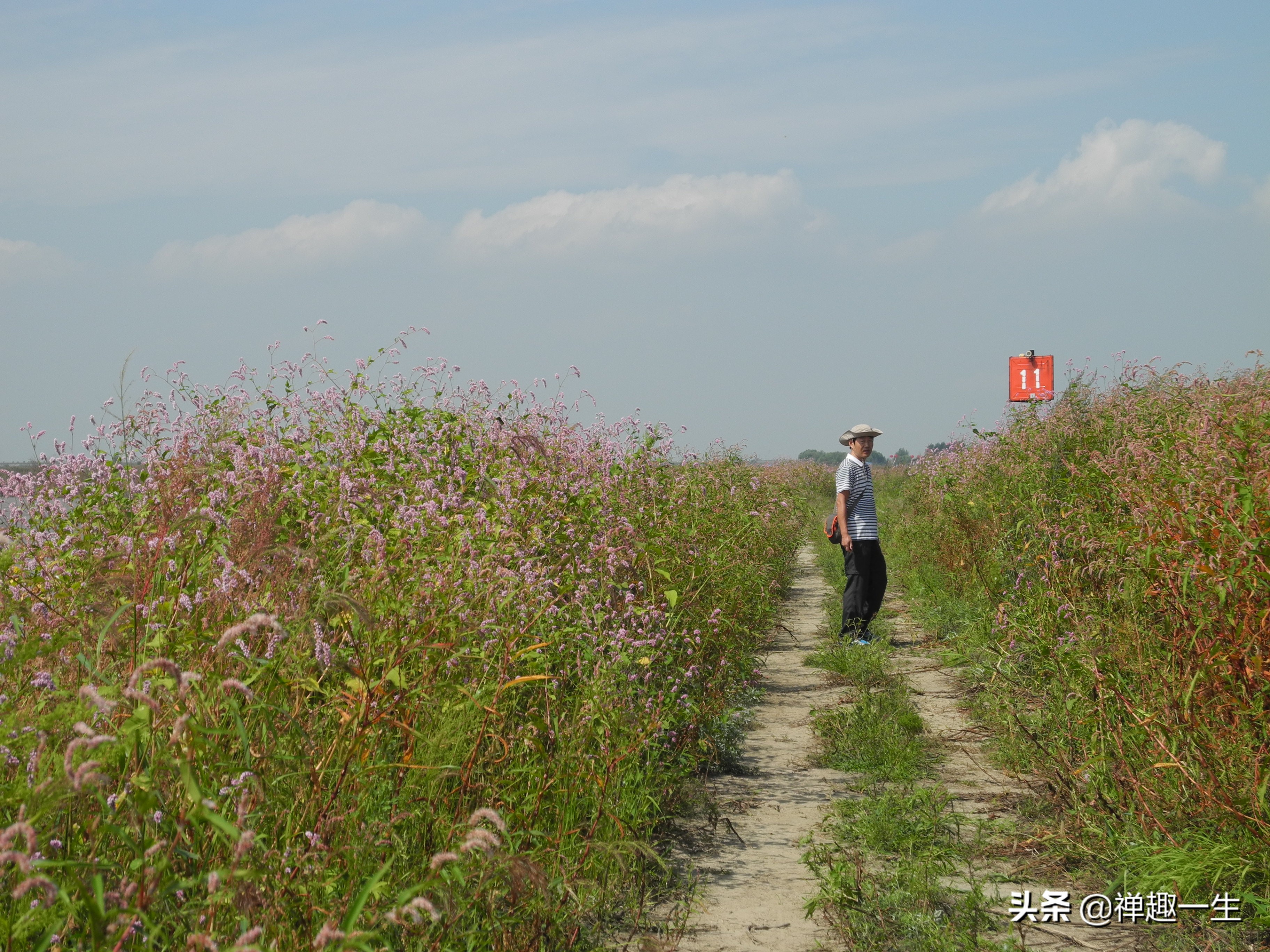 不是太阳岛！但大美湿地却都有一个像太阳般美丽的名字