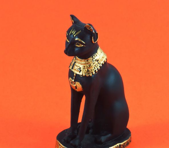 旅游禁止带什么东西,旅游景点不可带回的东西