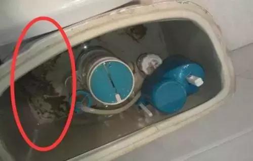 toto马桶cw886b如何调整冲力,马桶冲力减弱怎么办