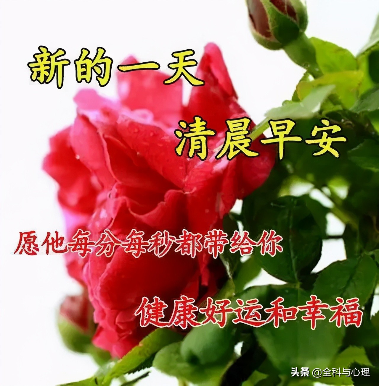 心静自然天地宽下一句,人生是一种态度