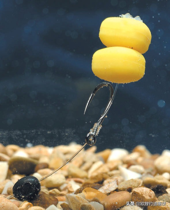 话说欧鲤钓诱饵篇,枯叶钓组和线辫钓组区别