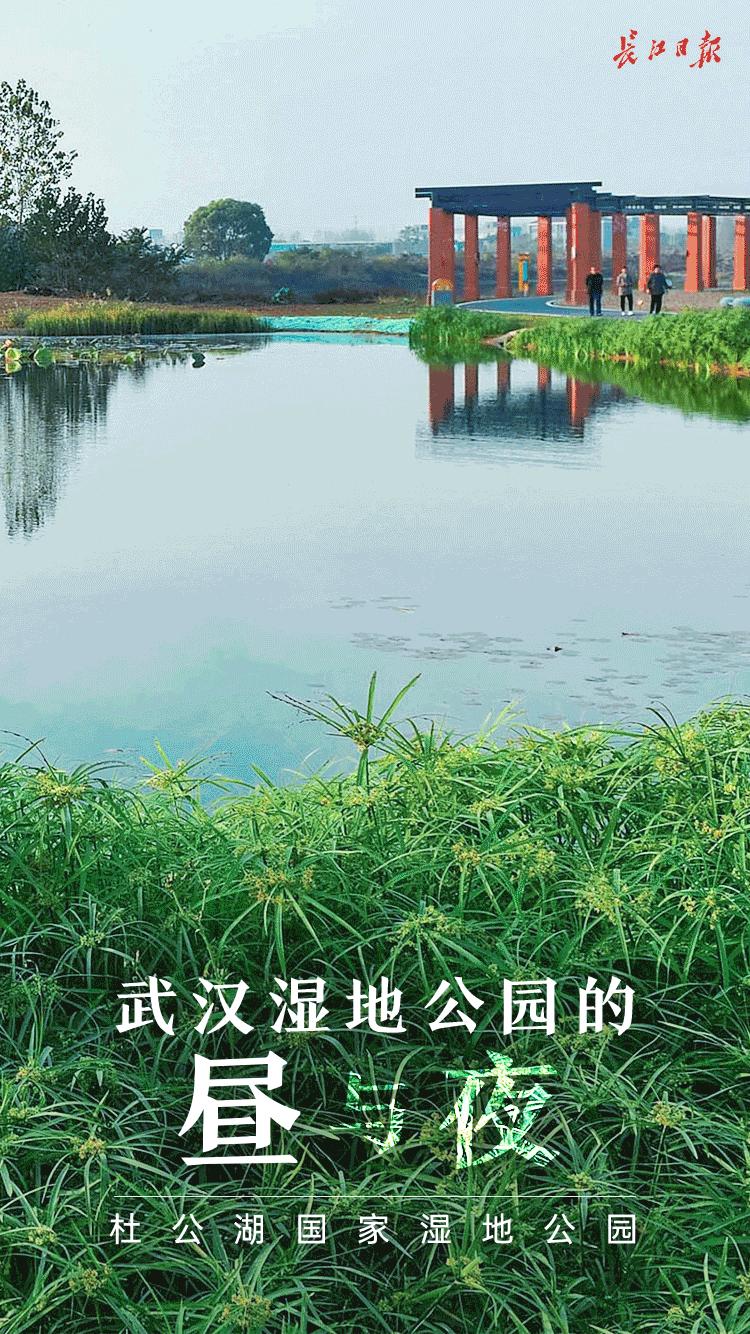 湖北武汉藏龙岛湿地公园,武汉藏龙岛湿地公园