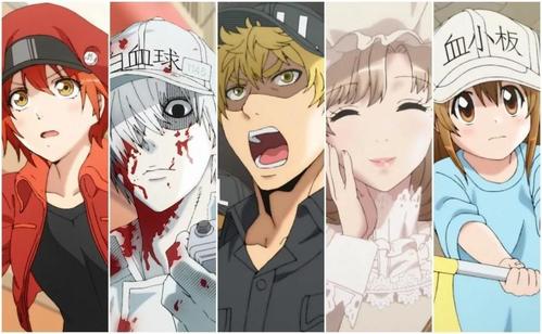 工作细胞东北来的红细胞,工作细胞红细胞淘汰