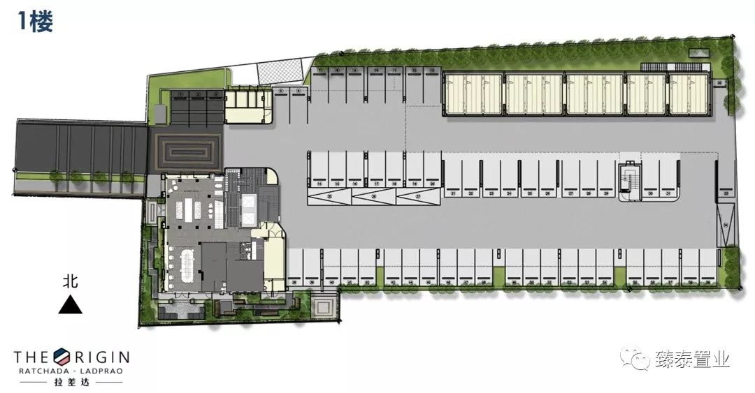 年轻生活！THEORIGIN拉差达性价比之王