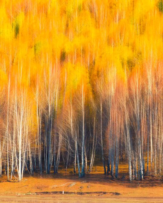 阿勒泰秋天有多美,秋天的新疆阿勒泰太美