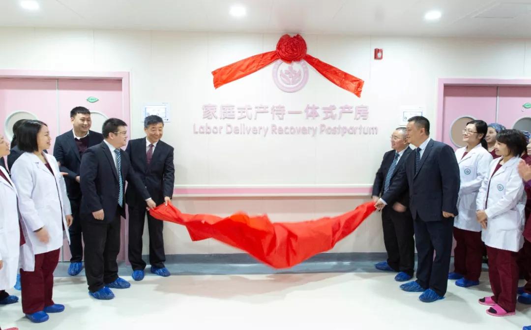 家庭式产房整装,家庭式一体化产房