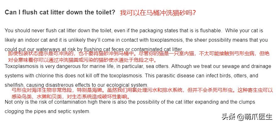 猫砂算垃圾分类的哪一种,猫砂垃圾分类怎么处理